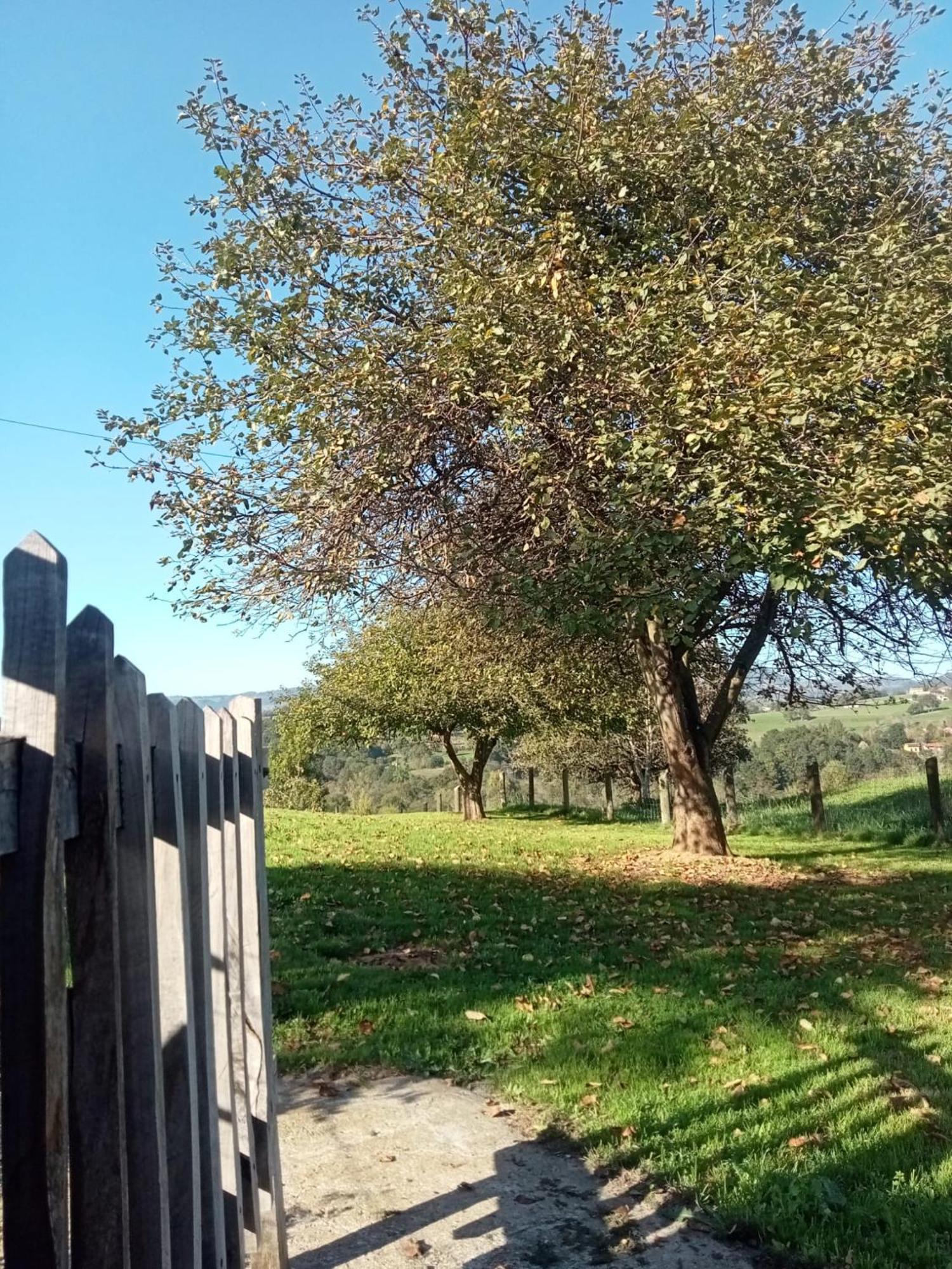 Вілла Casa Boni Y Florina Nava Екстер'єр фото